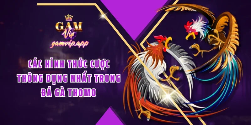 Các hình thức cược thông dụng nhất trong đá gà Thomo