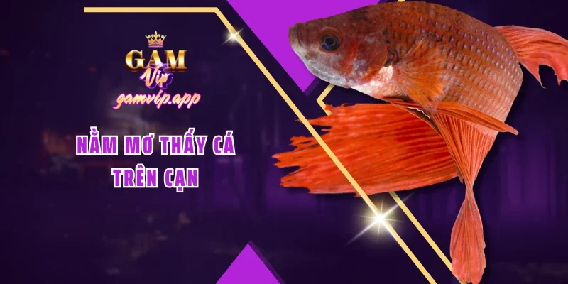 Nằm mơ thấy cá trên cạn