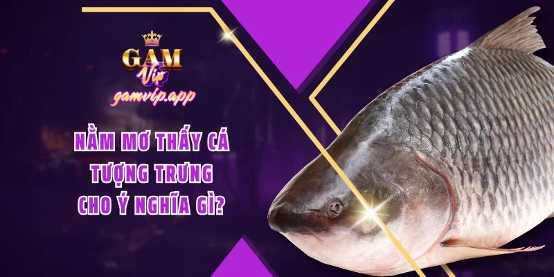 Nằm mơ thấy cá tượng trưng cho ý nghĩa gì?