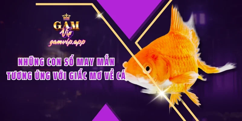 Những con số may mắn tương ứng với giấc mơ về cá