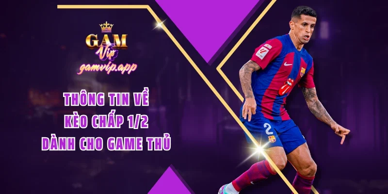 Thông tin về kèo chấp 1/2 dành cho game thủ